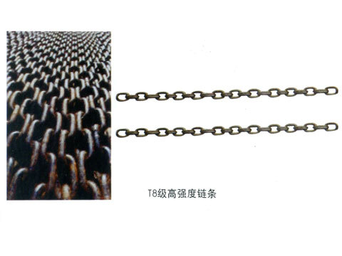 Lifting chain